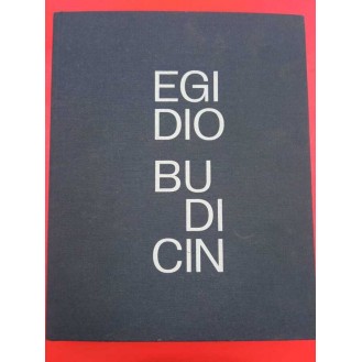 EGIDIO BUDICIN: Između stvaranja i obnavljanja