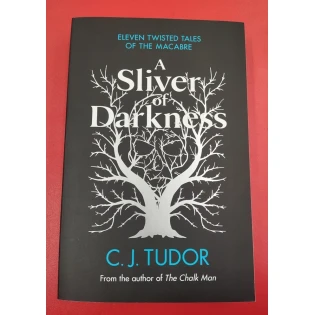 C. J. Tudor - A Silver of Darkness