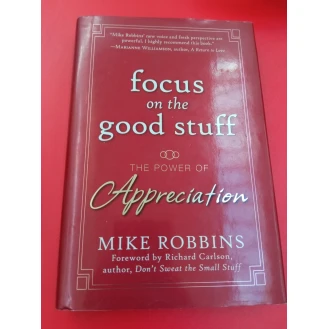 Mike Robbins - Focus on the Good Stuff