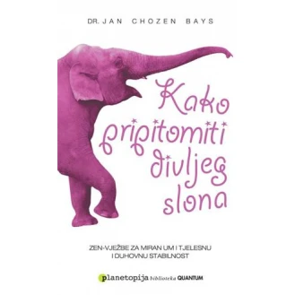 Jan Chozen Bays - Kako pripitomiti divljeg slona