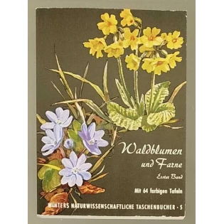 F. K. Hartmann und A. Rühl - Unsere Waldblumen und Farngewächse, 1. Band